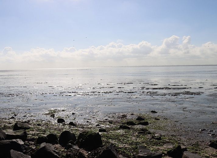 Ruime slaapkamer in vakantiehuis Waddengoud, Buren, Ameland met rustgevend decor en kingsize bed.