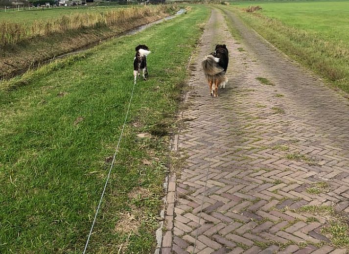 Moderne keuken in Vakantiehuisje in Buren Ameland, volledig uitgerust voor culinaire avonturen op de Waddeneilanden.