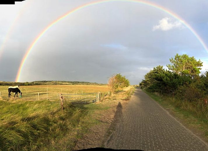 Moderne keuken in Vakantiehuisje in Buren Ameland, volledig uitgerust voor culinaire avonturen op de Waddeneilanden.