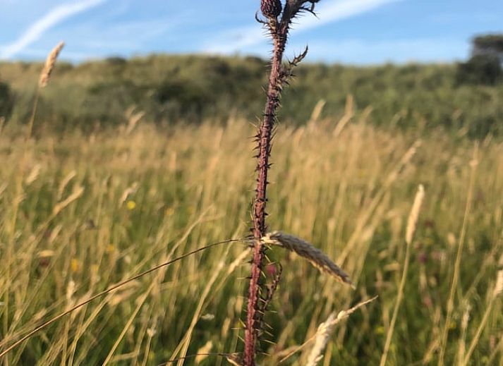 Ruime slaapkamer in Vakantiehuisje in Buren Ameland, biedt rust en comfort tijdens je verblijf op de Waddeneilanden.