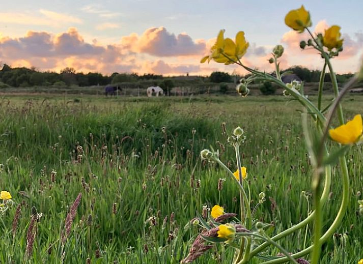 Ruime slaapkamer in Vakantiehuisje in Buren Ameland, biedt rust en comfort tijdens je verblijf op de Waddeneilanden.