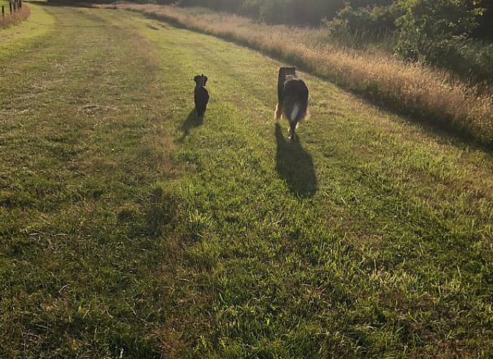 Privetuin met picknicktafel bij Vakantiehuisje in Buren Ameland, perfect voor buitenmaaltijden op de Waddeneilanden.