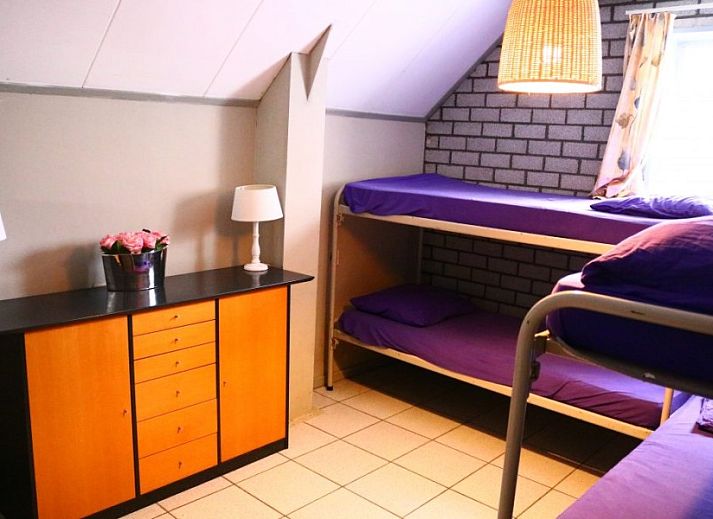 Pondarosa appartement in Buren, Ameland biedt een charmant verblijf met traditioneel dak en groene tuin op de Waddeneilanden.