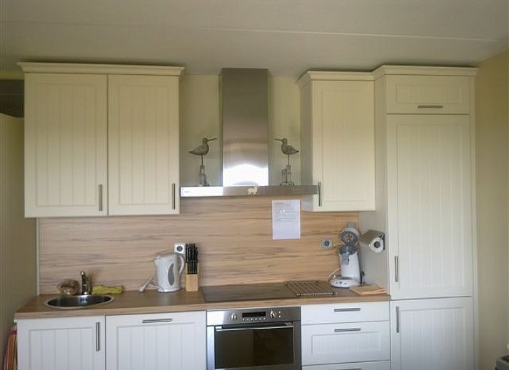 Frontansicht der Wohnung Amelander Paradise in Buren, Ameland, mit Fahnen und gruener Umgebung.