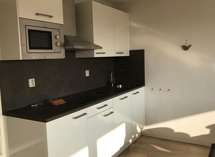 Gezellige woonkamer in Amelander Paradijs appartement, Buren, Ameland, met moderne meubels en decoraties.