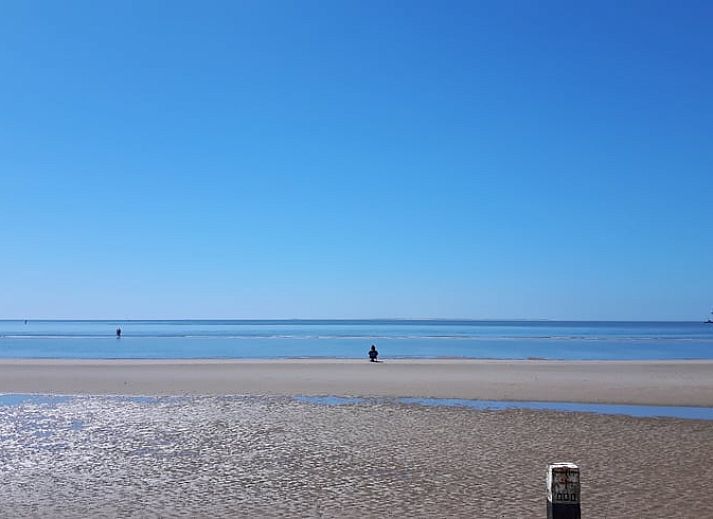 Gezellige woonkamer van Vakantiehuisje in Hollum op Ameland met comfortabele meubels en uitzicht op de natuur.