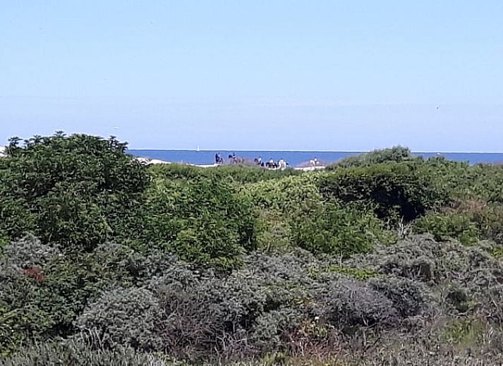 Gezellige woonkamer van Vakantiehuisje in Hollum op Ameland met comfortabele meubels en uitzicht op de natuur.