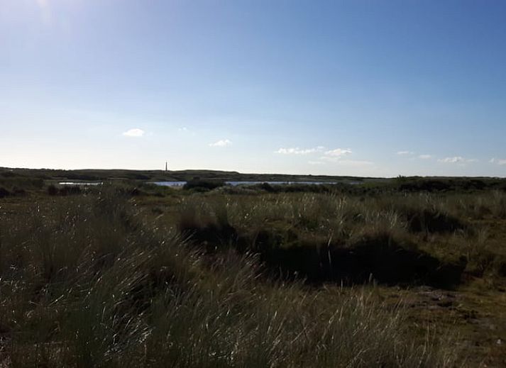 Gezellige woonkamer van Vakantiehuisje in Hollum op Ameland met comfortabele meubels en uitzicht op de natuur.