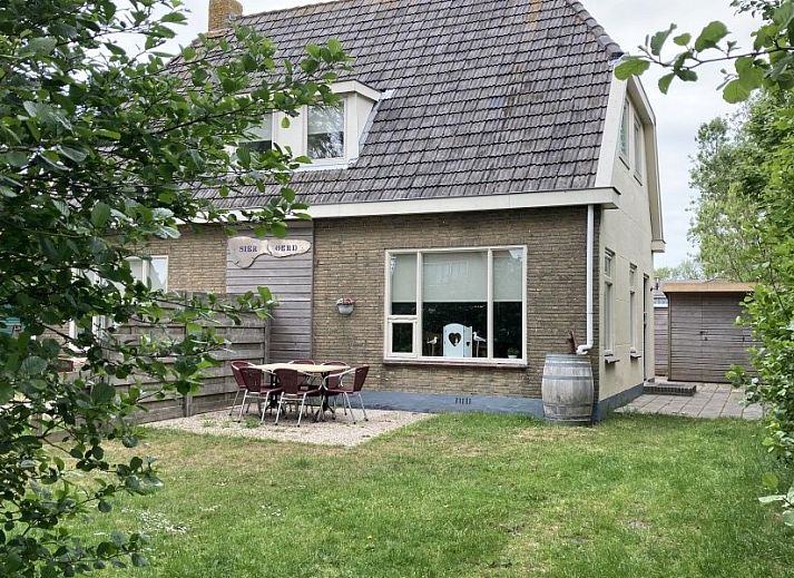 Oerd Ferienhaus in Hollum, Ameland mit sonniger Terrasse und gruener Umgebung.