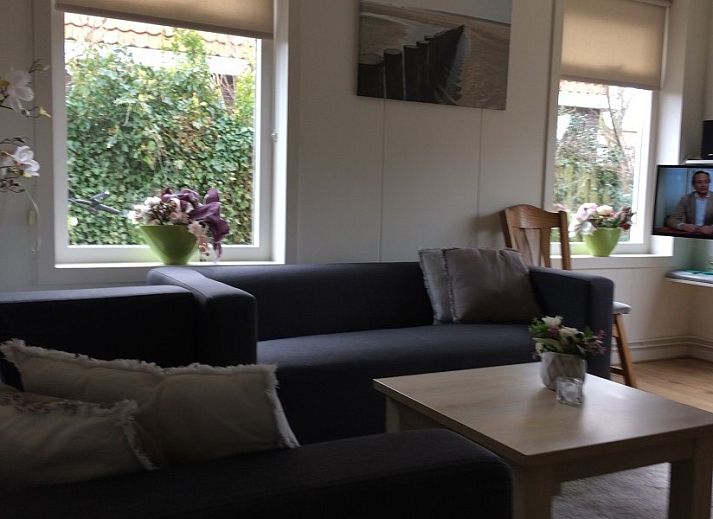 Oerd Ferienhaus in Hollum, Ameland mit sonniger Terrasse und gruener Umgebung.