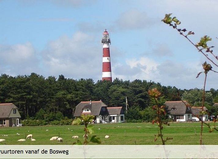 Winterliche Atmosphaere im Ferienhaus Oerd in Hollum, Ameland, verschneit.