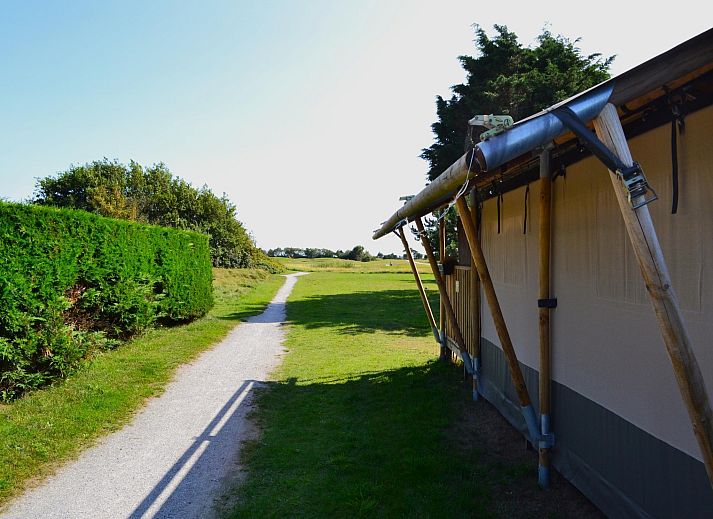 Guest house 0403125 - Holiday property Ameland - Luxe safaritent op Ameland