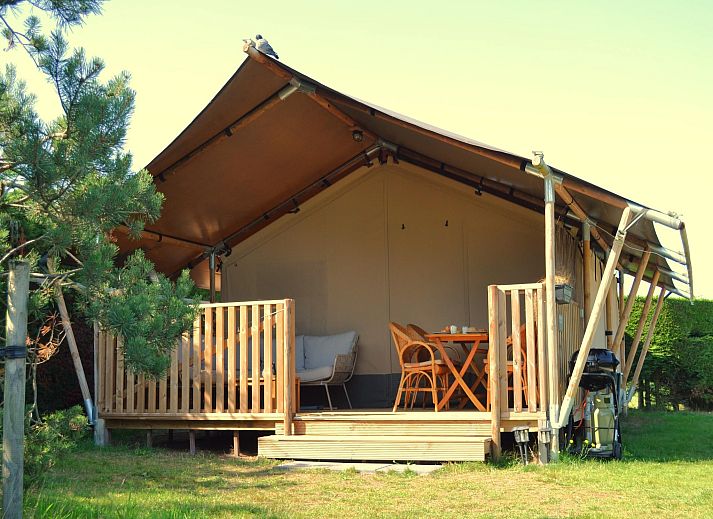 Guest house 0403125 - Holiday property Ameland - Luxe safaritent op Ameland