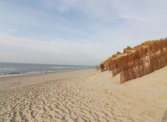 Guest house 0403125 - Holiday property Ameland - Luxe safaritent op Ameland