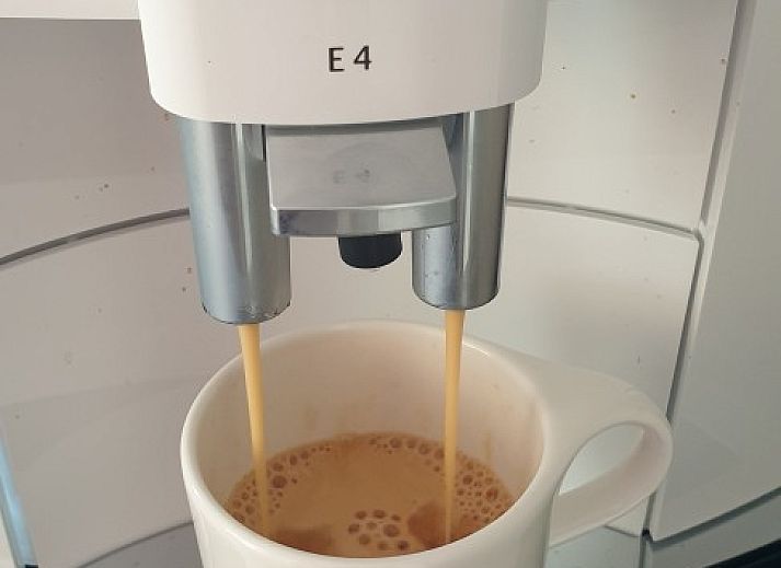 Sunny garden with flagpole at Strandloper vacation home, Hollum, Ameland.