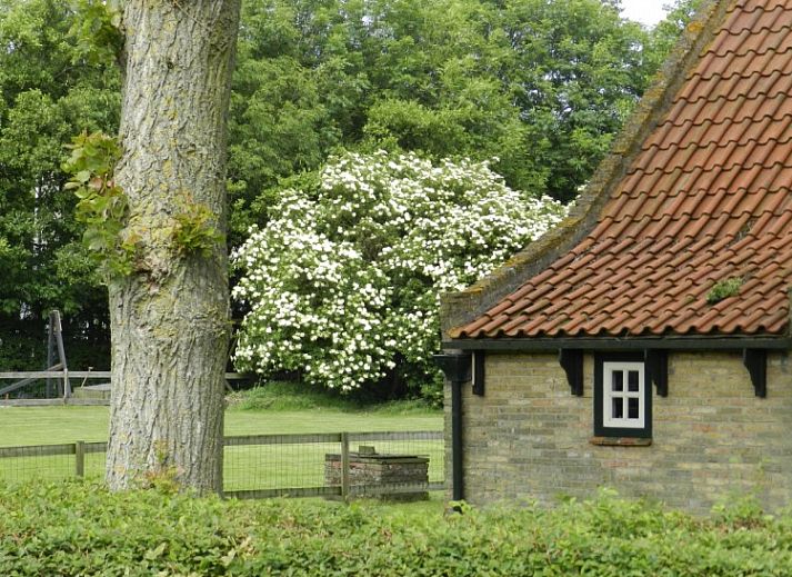 Vacation home Kiewiet Ameland in Hollum offers a charming white facade with red roof tiles, ideal for a relaxing stay on the Wadden Islands.