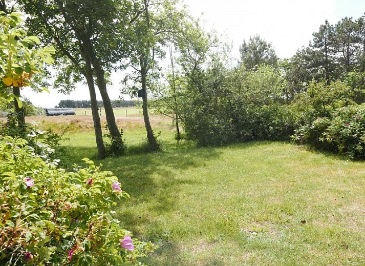 Gemuetliches Wohnzimmer in Het Woonhuis, Hollum, Ameland, mit bequemen Sofas und Blick auf die gruene Umgebung.