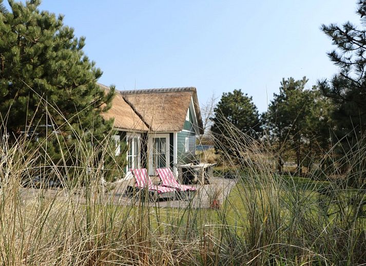 Guest house 0403189 - Holiday property Ameland - Strandjutter26