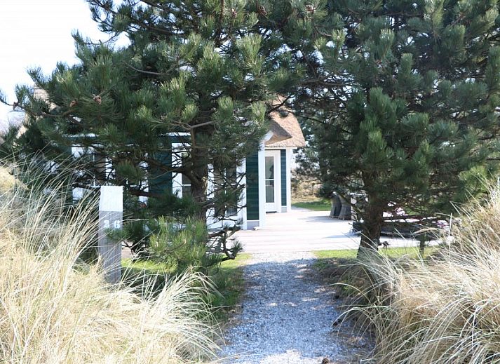 Guest house 0403189 - Holiday property Ameland - Strandjutter26