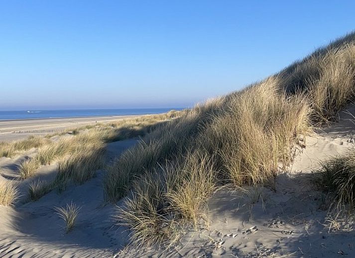Guest house 0403189 - Holiday property Ameland - Strandjutter26