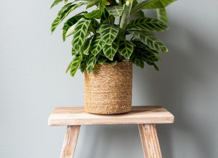 Stilvolles Wohnzimmer in der Wohnung Dwarsdeel, Hollum, Ameland mit Ledersofas und moderner Beleuchtung.