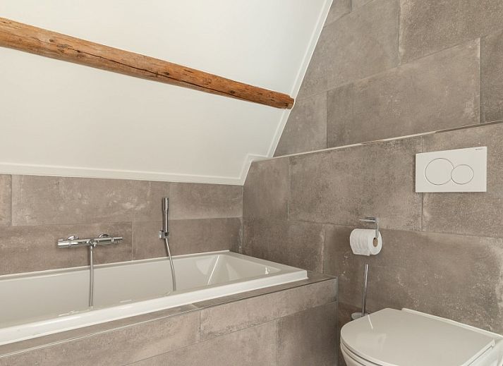 Dekorative Pflanze auf einem Holzhocker in der Wohnung Dwarsdeel, Hollum, Ameland, fuer einen natuerlichen Touch.