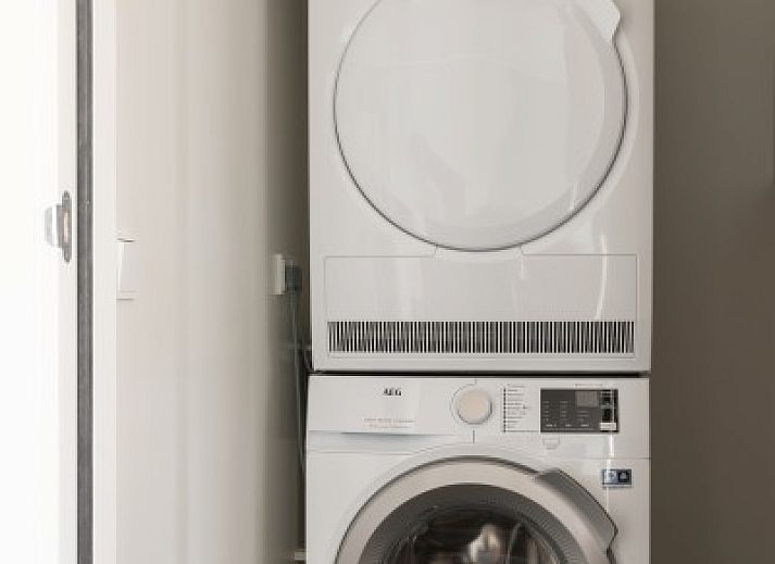 Dekorative Pflanze auf einem Holzhocker in der Wohnung Dwarsdeel, Hollum, Ameland, fuer einen natuerlichen Touch.