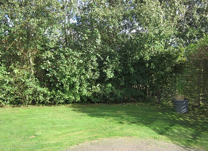 Duyngolf 71 vakantiehuis in Hollum Ameland met moderne houten gevel en grote ramen.