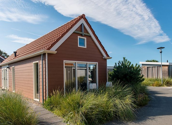 Waddenlodge 6+2, Ferienhaus in Hollum, Ameland, umgeben von ueppigem Gruen und einem sonnigen blauen Himmel auf den Watteninseln.