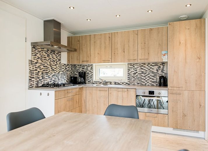 Waddenlodge 6+2, Ferienhaus in Hollum, Ameland, umgeben von ueppigem Gruen und einem sonnigen blauen Himmel auf den Watteninseln.