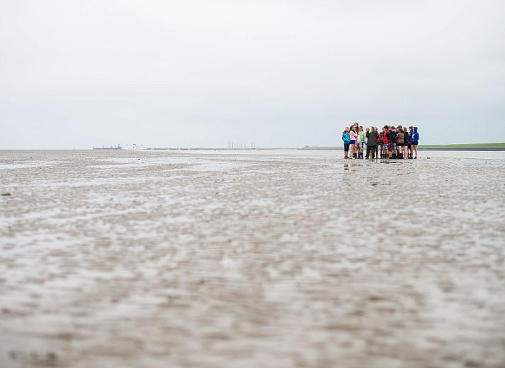 Helles und geraeumiges Interieur der Wohnung Breeze 1, Hollum, Ameland mit komfortabler Ausstattung.