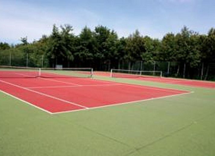 Unterkunft 0403229 - Appartement Ameland - Zeeaster