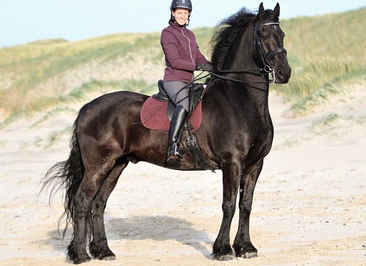 Moderne Kueche im Ferienhaus WELTEVREE, Hollum, Ameland, ideal fuer Selbstversorger.