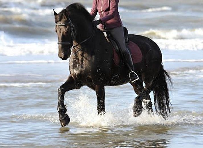Moderne Kueche im Ferienhaus WELTEVREE, Hollum, Ameland, ideal fuer Selbstversorger.