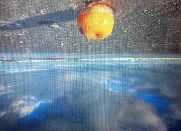 Moderne Kueche im Ferienhaus WELTEVREE, Hollum, Ameland, ideal fuer Selbstversorger.