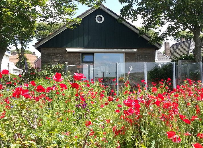 Unterkunft 040366 • Ferienhaus Ameland • ALFIT 