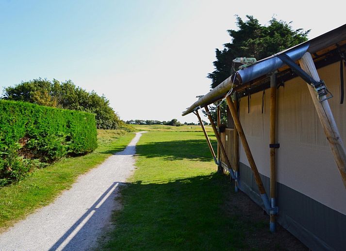 Unterkunft 040385 - Zelthaus Ameland - Luxe safaritent op Ameland