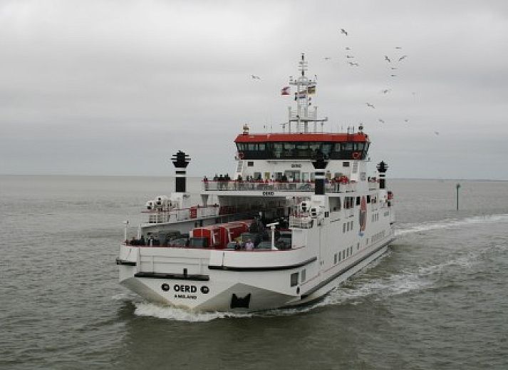 Gemtliche Kche im Bungalow Kleefkruid, Hollum, Ameland mit modernen Annehmlichkeiten.
