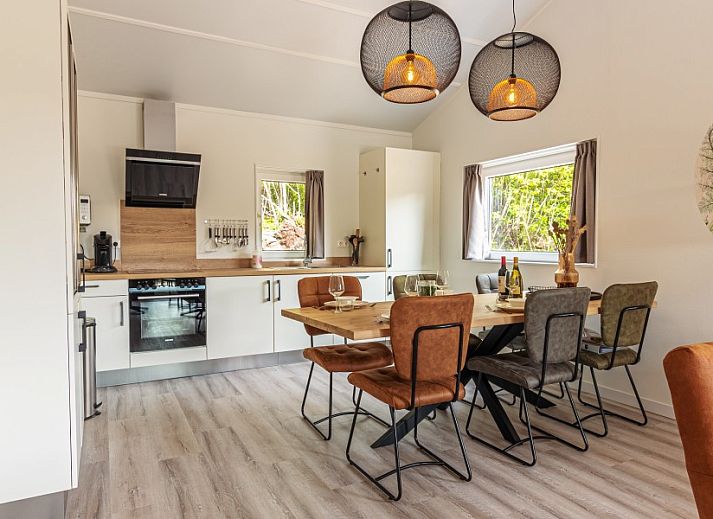 Veranda of vacation home Nesserduinen 42D in Nes, Ameland with modern seating area and canopy.