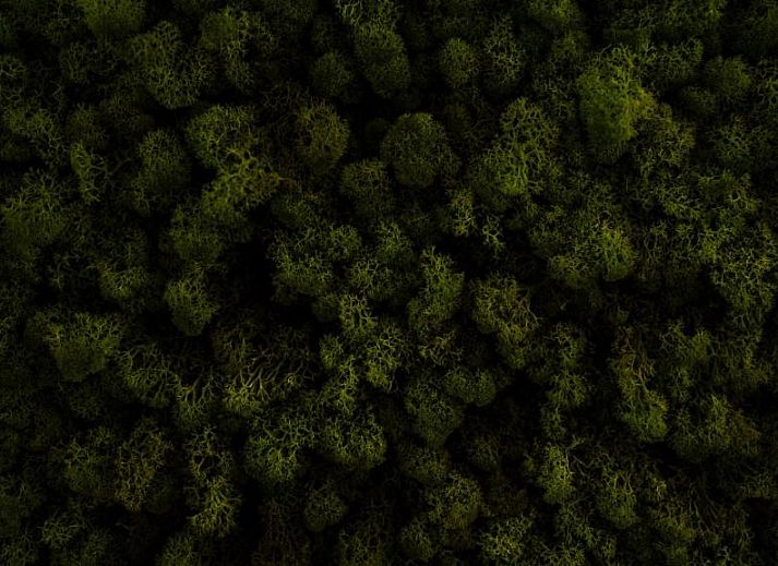 Luxurioeses Schlafzimmer im Logement Zee van Tijd, Nes, Ameland mit modernem Badezimmer.