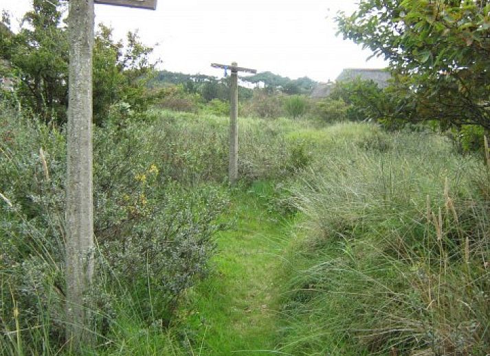 De Vijfhoek vakantiehuis met rieten dak in Nes, Ameland, omgeven door natuur.