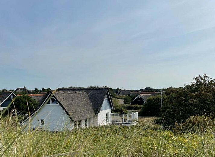 Unterkunft 040613 - Ferienhaus Ameland - Friesland