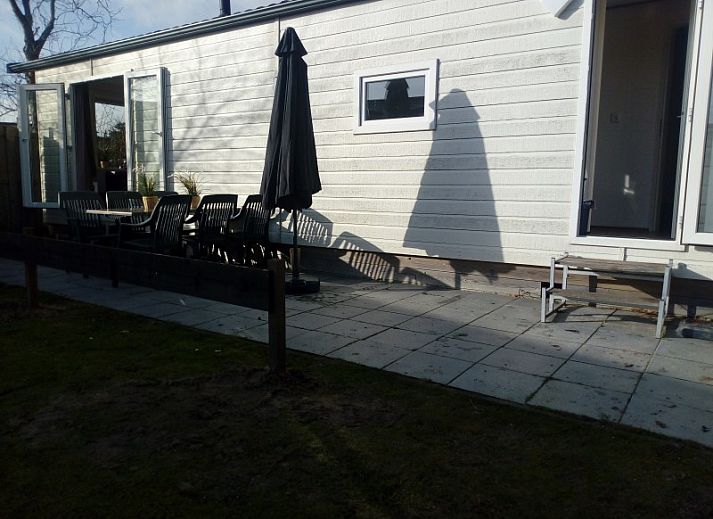 Chalet Protter in Buren, Ameland biedt een serene natuurlijke omgeving met lokale fauna, ideaal voor natuurliefhebbers.