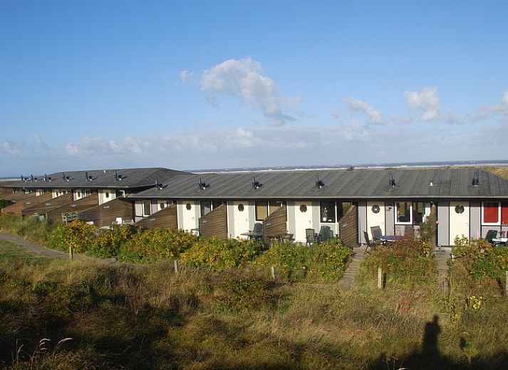 Verblijf 050121 • Vakantiewoning Schiermonnikoog • Venusschelp