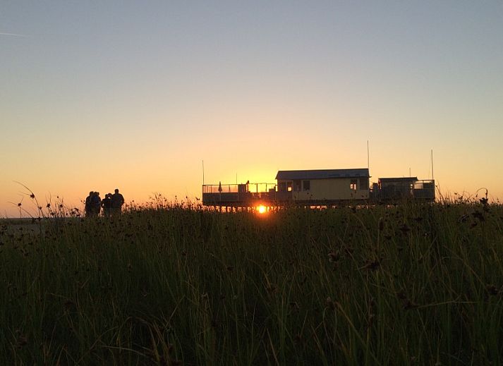 Charmant vakantiehuis Klaver Vier op Schiermonnikoog met zonnige tuin op de Waddeneilanden.