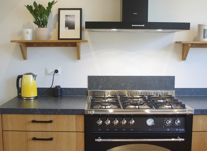 Shady garden of Louwtjesduin East vacation home in Schiermonnikoog.