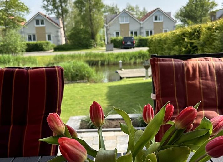 Guest house 0601142 - Holiday property IJsselmeer - Modernes Haus*direkt am Wasser*Ijsselmeer*Strand 500m*eigene