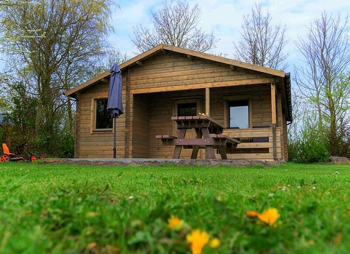 Cozy interior of Holiday home in Workum with wooden interior, bunk bed and dining table, near the IJsselmeer and Frisian lakes.