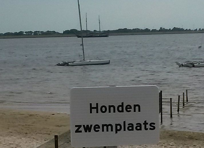 Verblijf 060747 - Bungalow Friese elfsteden - Strandbungalow P- 4-6