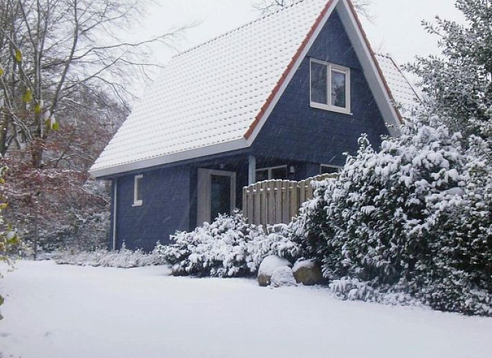 Guest house 060808 - Holiday property Friese bossen - Vakantiehuisje Gaasterland Oudemirdum